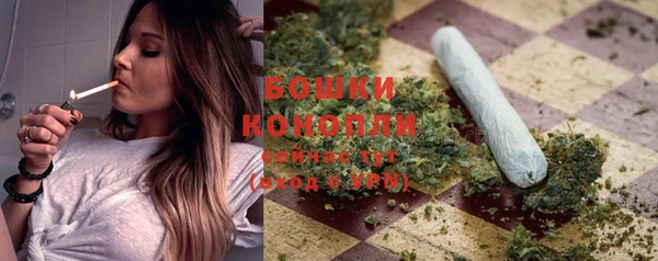 молекула духа Горняк