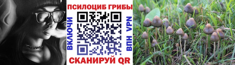 магазин продажи   Чердынь  Галлюциногенные грибы мухоморы 